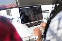 Technical professional reviewing software systems